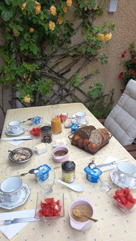 petit déjeuner dans le jardin